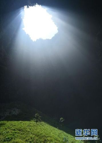 　5月19日，锣圈岩天坑里的植物沐浴阳光