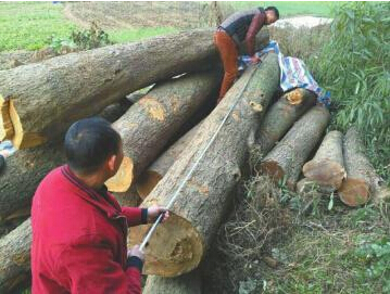 QQ截图20150522085009