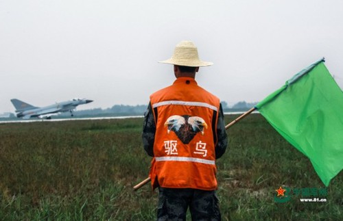 不是所有空军都驾驶战机飞翔在天空，比如地上的驱鸟兵，他们默默无闻保护战机起飞不受飞鸟影响。张鹏炎 摄