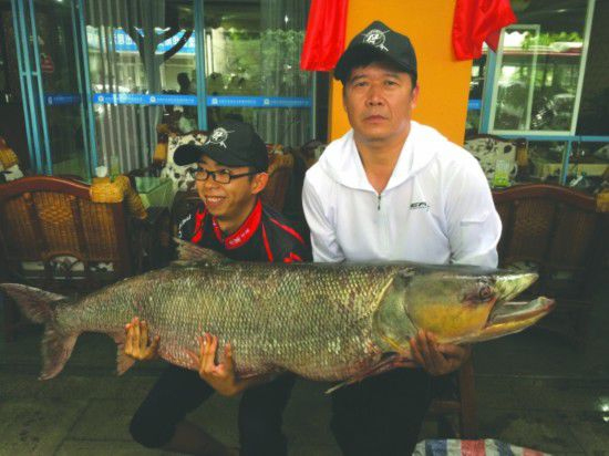 成都父子钓起近百斤大鱼激战三个半小时2