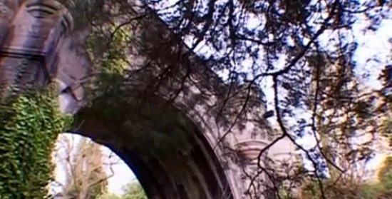 英国“鬼桥”600只狗跳桥自杀-传称遭到诅咒2