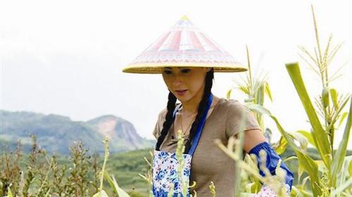 张柏芝综艺真人秀片酬2000万