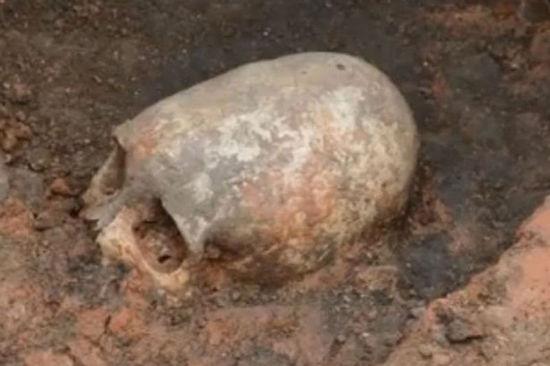 俄出土奇怪头骨酷似鸡蛋 为公元前4000年的女性