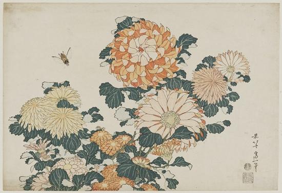 《菊花和马蝇》,出自未命名的大型花卉系列 作者:葛饰北斋,年份:约1833-34年(Tenpô 4–5) 类别:浮世绘;纸本彩墨* William Sturgis Bigelow Collection* 图片: © Museum of Fine Arts, Boston