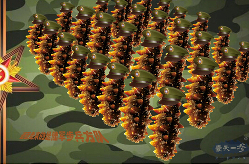 　　海参穿越阅兵照，坦克兵方队接受检阅