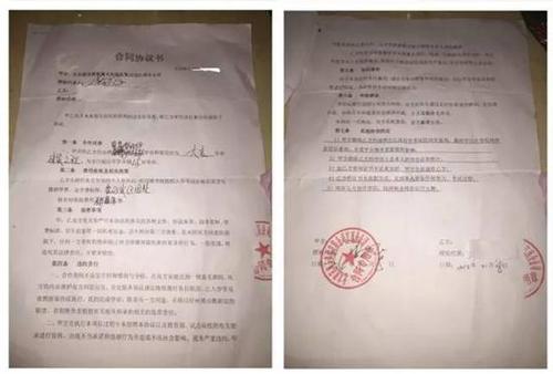 　林华与建讯公司签订的“替考”合约 图 尹志艳