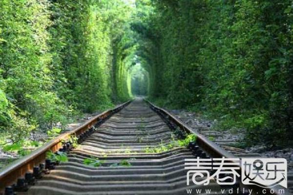 为拍文艺照女子逼停火车 全程淡定不惜拿生命开玩笑