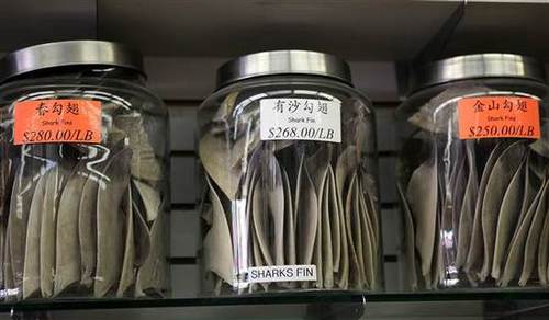 鱼翅售价不菲，但用它做的汤往往作为地位的象征，出现在中国传统婚宴上。