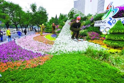 国庆 花坛