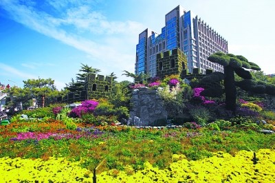 东单 花坛