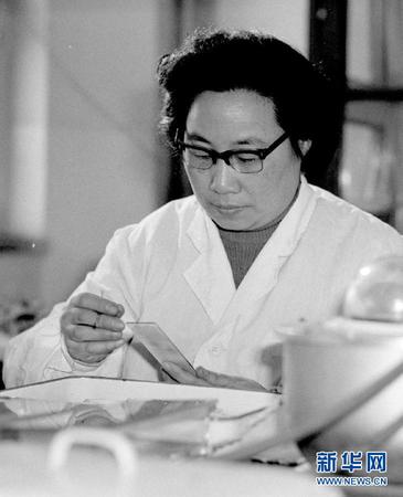 这是20世纪80年代初，任中医研究院中药研究所副研究员的屠呦呦在进行科研工作。