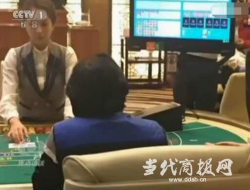央视曝光韩国济州岛赌场内幕 拿女模诱中国客