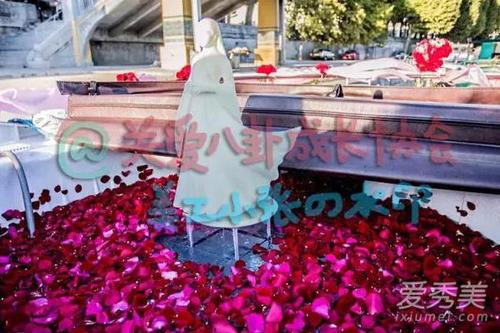 14320664422052039224