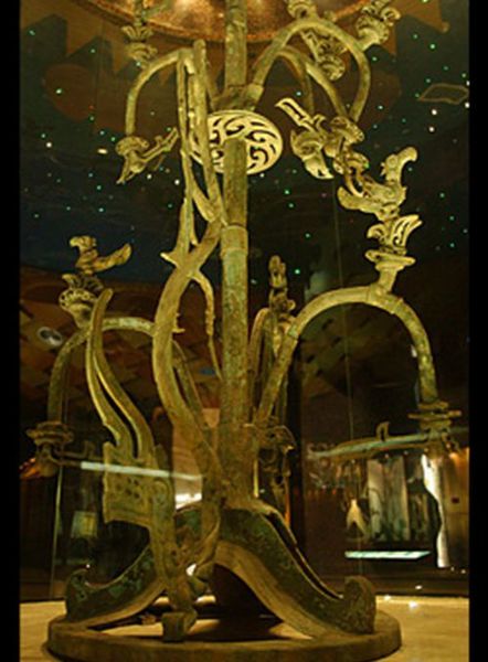 　20.秦岭神树