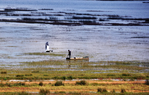 image6