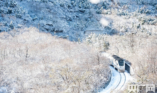 昌平区居庸关长城风景区周边山岗银装素裹，阵阵冷风挡不住雪后美景。一列“雪国列车”穿越居庸关，如一条“银蛇”美到窒息。