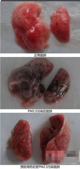 雾霾谣言大起底 你能识破多少个？