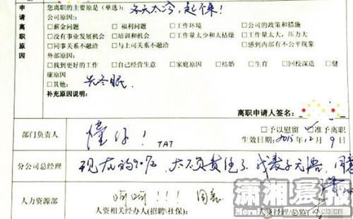 辞职信