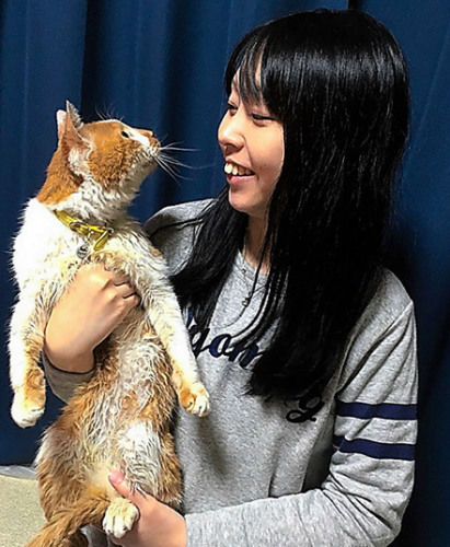 相会