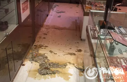 QQ截图20151216084856