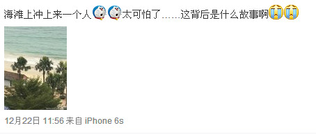 高鑫微博截图