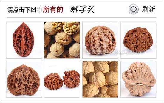 验证码错误，请看正确答案！