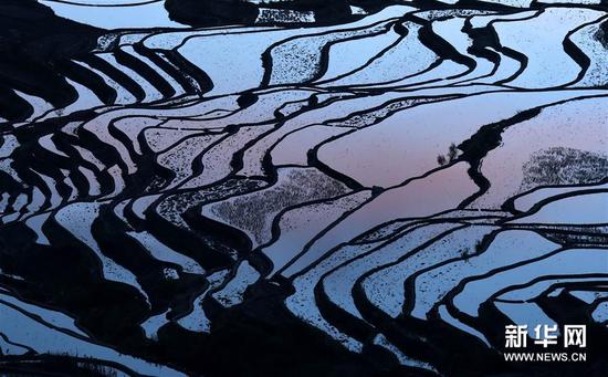 这是云南省红河州元阳县的哈尼梯田美景（1月12日摄）。
