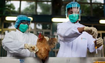 成都确诊一例H5N1病例