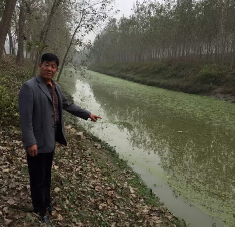 中国缺水困局调查：鄱阳湖冬季枯水 草太密要防火3