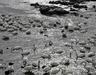 image10