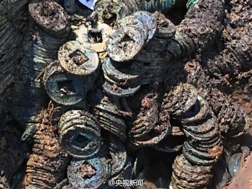 图为考古现场。