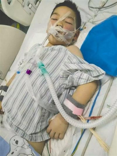 6岁男童18楼坠下奇迹生还 已能吃饭说话