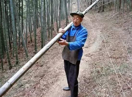 酷毙了!孙子给85岁爷爷拍了一组街拍照