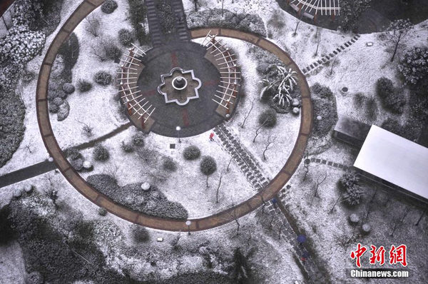 1月23日，重庆主城区迎来罕见大雪天气，一小区绿化带变成了白茫茫的雪地。图为一小区绿化地积起了白雪。 陈超 摄