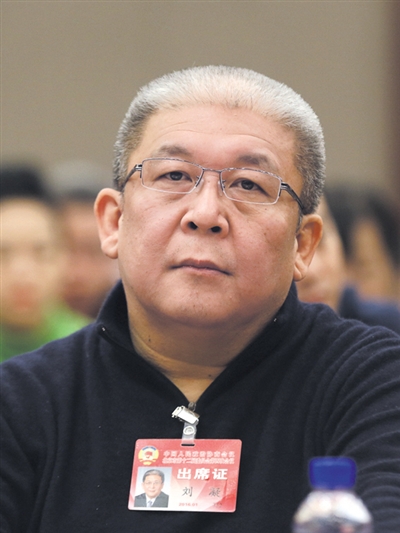 北京市政协委员刘凝。