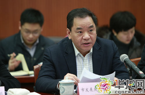市发改委、市教委等协办单位相关负责人补充汇报办理情况。