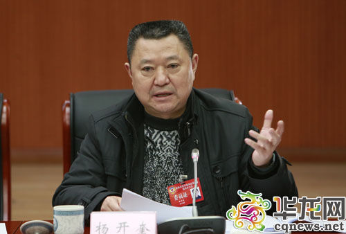 参会的市政协委员依次发言。
