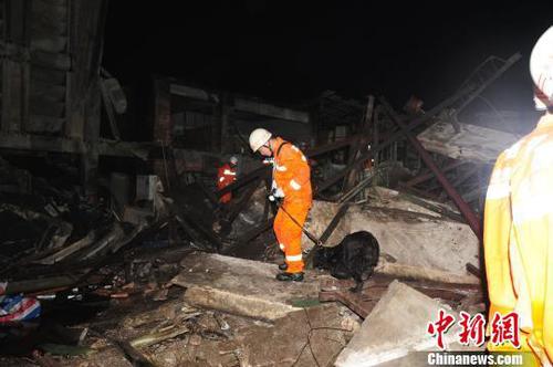 图为消防官兵利用搜救犬搜救被困人员。 李海华 摄
