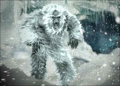 传说中的喜马拉雅“雪人”“夜帝”。
