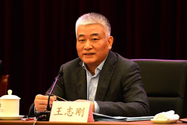 王志刚