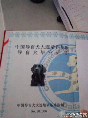记者获悉，公安部门正在全力调查中。图为乔乔的毕业证。