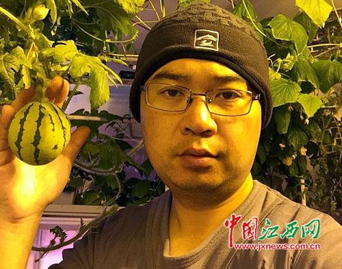 江西医生在南极种出蔬菜（图）