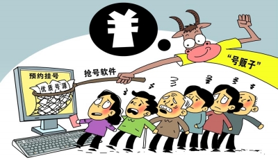 专家号22
