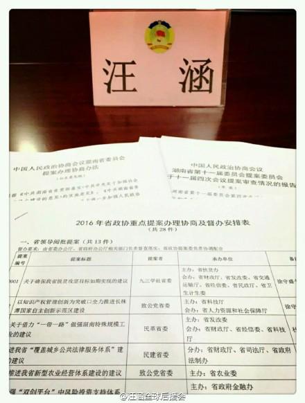 汪涵参加湖南政协会议 可惜只露名字不露脸