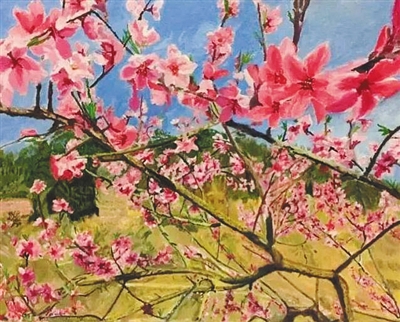 王珍风作品，尺寸30×40CM，价格200元，已被收藏。
