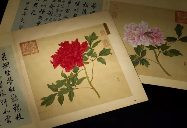 蒋廷锡《百种牡丹谱》