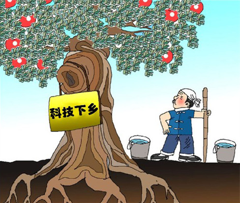科技下乡