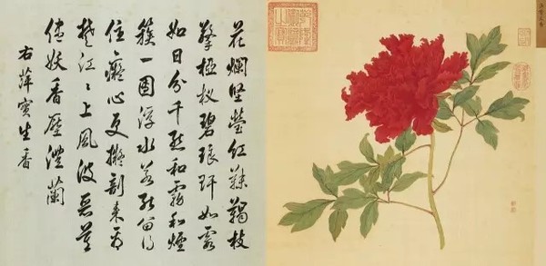 萍实生香