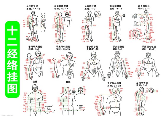 十二经络图带你揭开人体秘密！