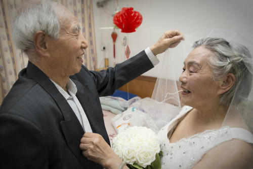 不老爱情3